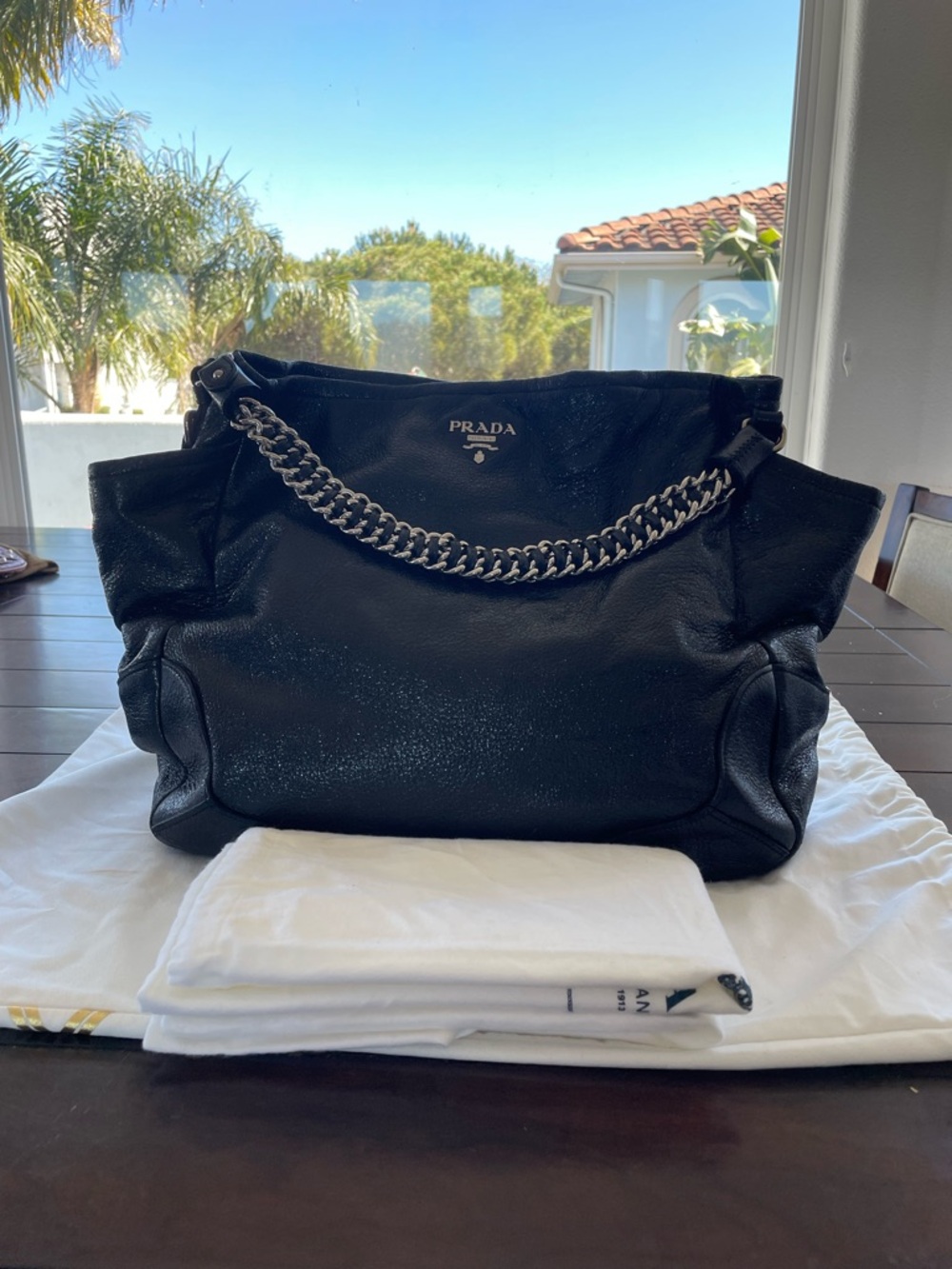 Prada Cerritos Lux Hobo Bag